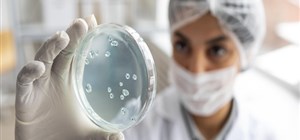 How Poor HVAC Maintenance Causes Microbial Contamination