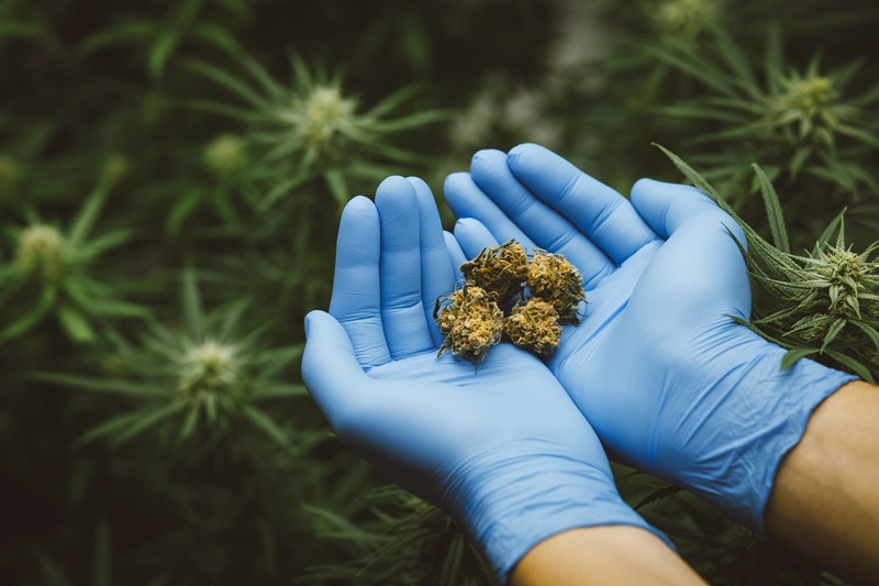 medical cannabis hvac systems